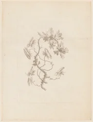 Tulosta (Ranska)