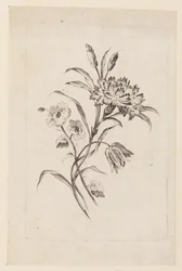 Tulosta (Ranska)