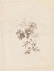 Tulosta (Ranska)