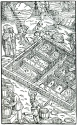 Suolan valmistus haihduttamalla merivettä suolaaltaissa, 1556