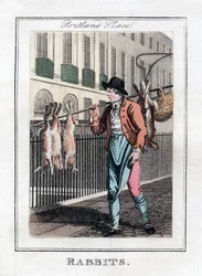 Kanit, Portland Place, Lontoo, 1805