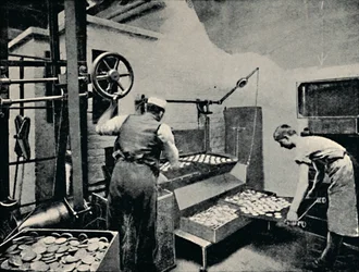 Keksin poistaminen uunista, c1917