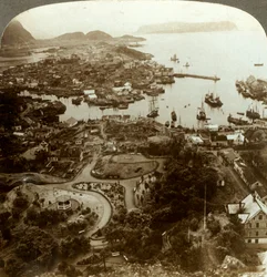 Palaneen kaupungin kunnostaminen - Aalesund, saaren satama ja tärkeät turskan markkinat, Norja, 1905.