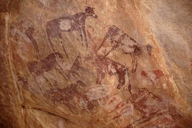 Kalliotaide, esihistoria: Maalaus karjaryhmästä ja hahmoista koristeellisessa suojissa Uweinatin vuoristossa, Sudanissa (Karkur-Talh tai Karkur Talh). Ajanjakso 8000-3000 vuotta eaa. Valokuvaus