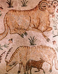 Roomalainen mosaiikki oinasta, lehmästä ja vasikasta, 4. vuosisadalla jKr