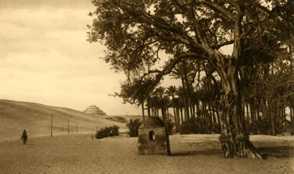 Saqqara - askelpyramidi Sycomoresta nähtynä, c1918-c1939.