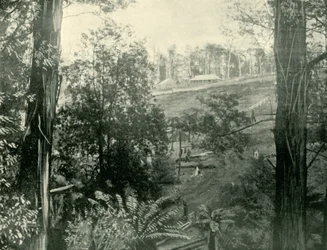 Kohtaus Upper Gembrookissa, Victoriassa, 1901.