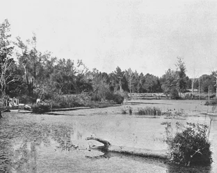 Kohtaus Mississippissä, Yhdysvalloissa, 1900.