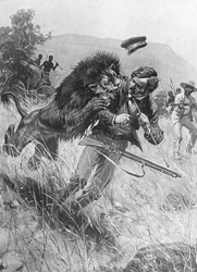 Leijona hyökkää skotlantilaisen lähetyssaarnaajan ja tutkimusmatkailijan David Livingstonen kimppuun, Afrikka, 1800-luku