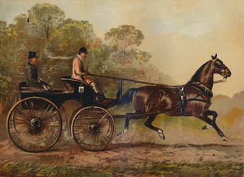 Yksivaljaat Phaeton Horse Columbine. Charles Baynesin kiinteistö, 1872, c1879