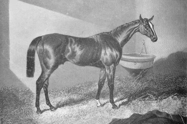 Sir Tatton Sykes, 1842-1860, 1911