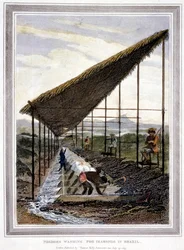Orjat pesevät timantteja valvojien valvomana piiskalla, Brasilia, 1815