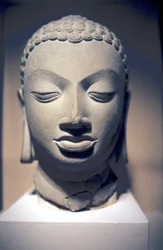 Buddhan kivipää, Gupta, Intia, 500-luku