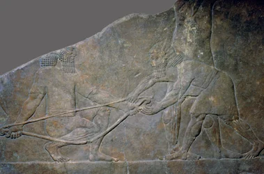 Kivipaneeli Ashurbanipalin pohjoispalatsista, Ninive, Pohjois-Irak, uusassyrialainen, n. 645 eaa.