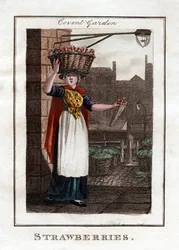 Mansikat, Covent Garden, Lontoo, 1805