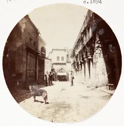 "Katukuva", versio 1894