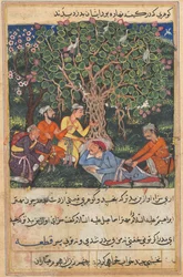 Papukaijan tarinoita Tuti-nama: Kahdestoista yö: kadunsiivooja matkalla..., c. 1560.