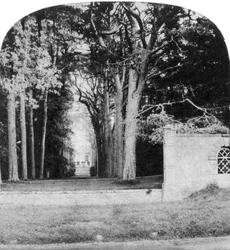 The Avenue, Guys Cliff, Warwick, 1900-luvun alku