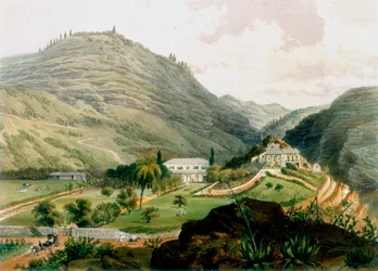 The Briars, St Helena, 1800-luvun alku 1851