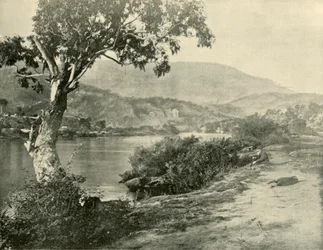 The Derwent New Norfolkissa, 1901.
