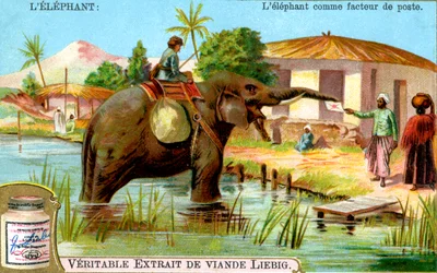 Elefantti postimiehenä, c1900