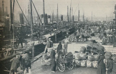 Silakkakausi täydessä vauhdissa, 1937