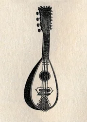 Mandoliini, 1895.