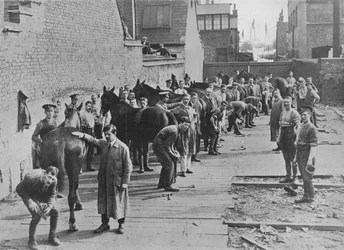 Uusi armeija harjoittelemassa Farriers Schoolissa, 1915