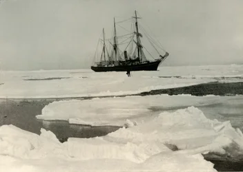 Nimrod työntää tiensä avoimemman paketin läpi, c1908, 1909