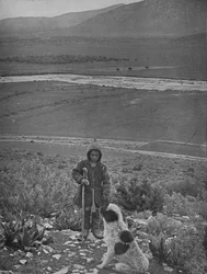 Marathonin tasango, 1913