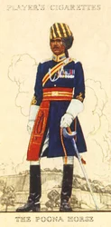 Poonan hevonen, 1936.