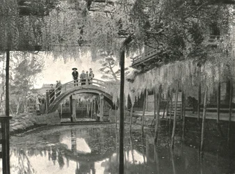 Te New Ginoike Pon d Plan d Wisteria, Kameido, Toi, Japani, 1895.