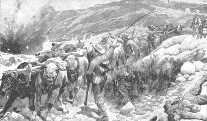Transvaalin sota, 1899-1901: Sinitakit pelastivat aseen, 1901.