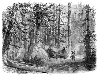 Metsä ennen siirtolaista, 1900