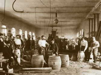 Puisten oluttynnyrien valmistus Plzenissä, 1880-luku