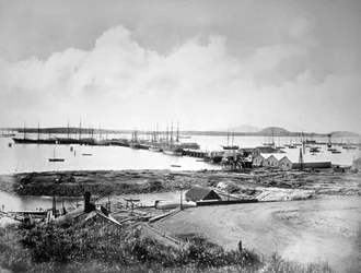Satama, Auckland, Uusi-Seelanti, c1870-1880
