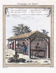 Tupakkatehdas, 1780