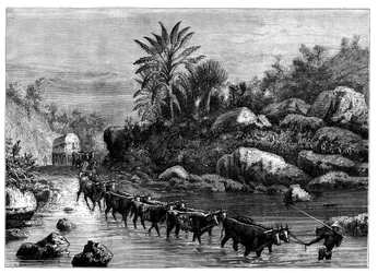 Matkustaminen Griqualandissa, Etelä-Afrikassa, c1890