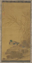 Kaksi ankkaa ruokojen keskellä veden äärellä, Ming- tai Qing-dynastia, 1400-1700-luku.
