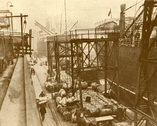 Ruokalaivojen purkaminen Royal Albert Docksissa Lontoossa, vuodelta 1930.