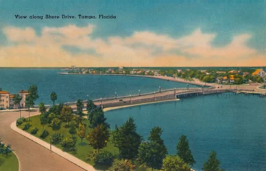Näkymä Shore Drivelle, Tampa, Florida, 1940-luku