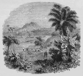 Näkymä Cayennessa, c1880