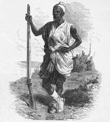 Elminan soturi, 1880