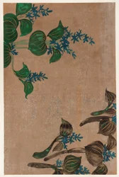 Vesikasveja sinisillä kukilla, Edo-kausi, 1615-1868.