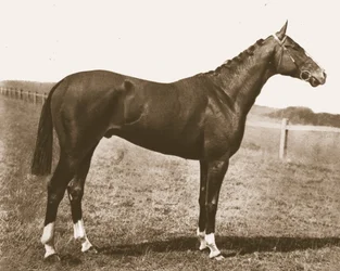 Tuuliviiri, 1911.