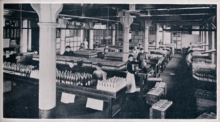 Missä kuuluisa Yorkshire Relish valmistetaan, 1906