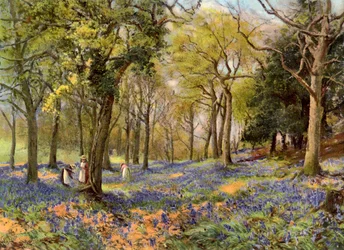 Villit hyasintit Surrey Copsessa, 1906