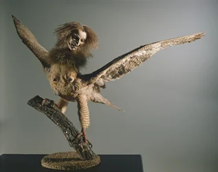 Harpy