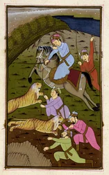 Akbar tiikerien metsästämisessä Akbarnamasta, Mughalista, n. 1590, (kuvitettu teksti)