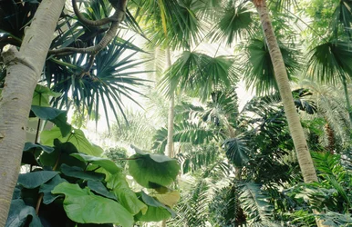 Palm Housen sisäkuva